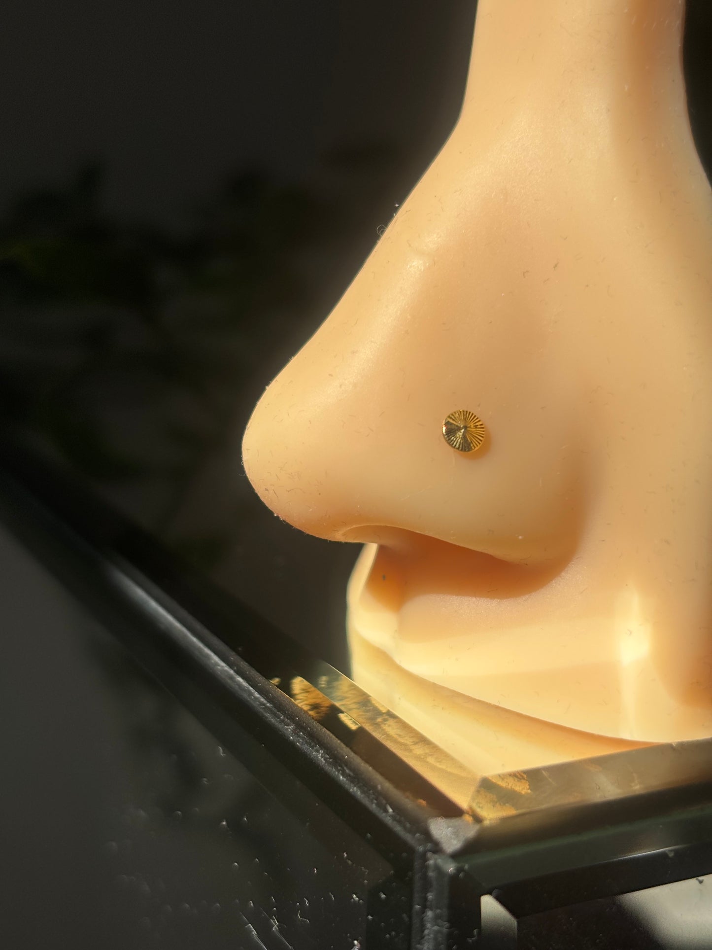 Nose stud